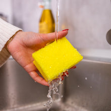 Načítať obrázok do zobrazovača galérie, Scrub Basics hubka na umývanie riadu