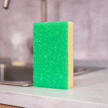 Načítať obrázok do zobrazovača galérie, XL Sponge Daddy®- Professional Collection