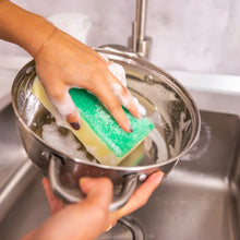 Načítať obrázok do zobrazovača galérie, XL Sponge Daddy®- Professional Collection