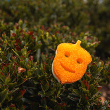 Načítať obrázok do zobrazovača galérie, Scrub Mommy Special Edition – Žaluď