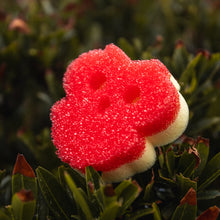 Načítať obrázok do zobrazovača galérie, Scrub Mommy Special Edition – Sova