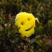 Načítať obrázok do zobrazovača galérie, Scrub Mommy Special Edition – List