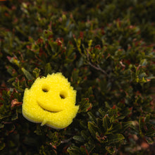 Načítať obrázok do zobrazovača galérie, Scrub Mommy Special Edition – List