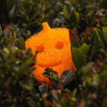 Načítať obrázok do zobrazovača galérie, Scrub Mommy Special Edition – Žaluď