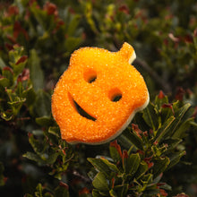 Načítať obrázok do zobrazovača galérie, Scrub Mommy Special Edition – Žaluď