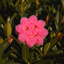 Načítať obrázok do zobrazovača galérie, Scrub Mommy Power Flower pink (1 ks)