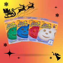 Načítať obrázok do zobrazovača galérie, Hubka Expres
