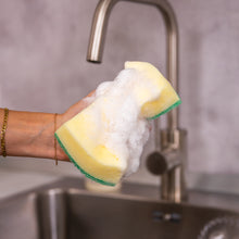 Načítať obrázok do zobrazovača galérie, XL Sponge Daddy®- Professional Collection
